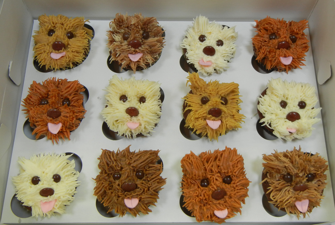 Ronna's Blog SPCA Cupcake Day Ronna's Blog SPCA Cupcake Day