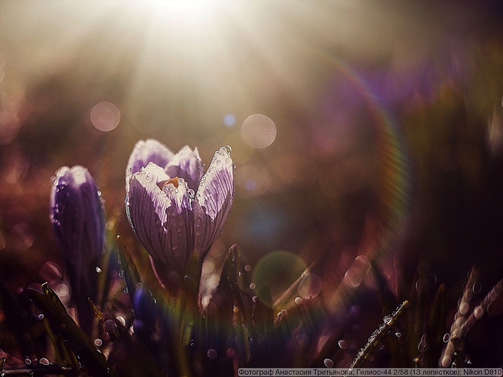 Гелиос-44 2/58