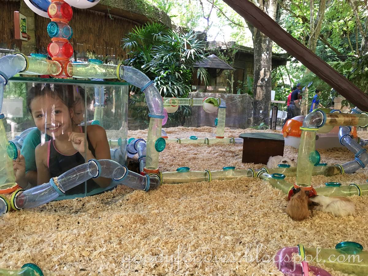Goodyfoodies 12 Awesome Things To Do At Lost World Of Tambun Ipoh