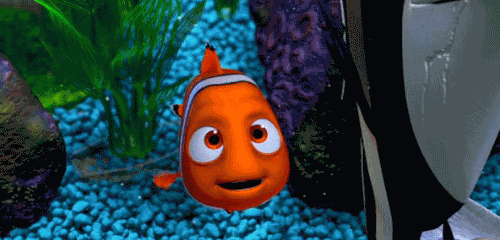 100+ Wallpaper Bergerak Ikan Nemo HD Terbaik 100+ Wallpaper Bergerak Ikan Nemo HD Terbaik