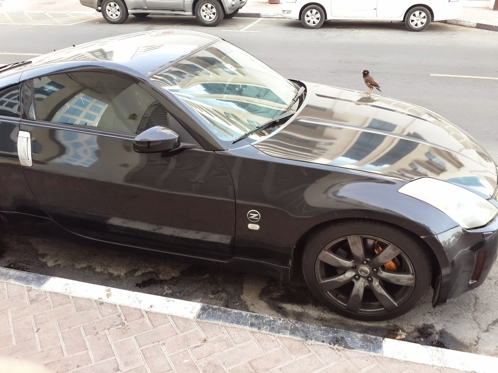 Dubai Elite Cars: Second Hand Cars in Dubai are Good as New