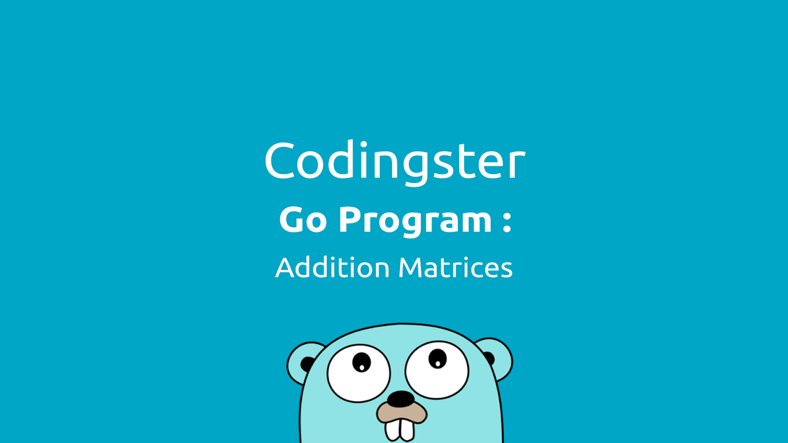 Go Program To Addition Two Matrices (Golang) - Codingster