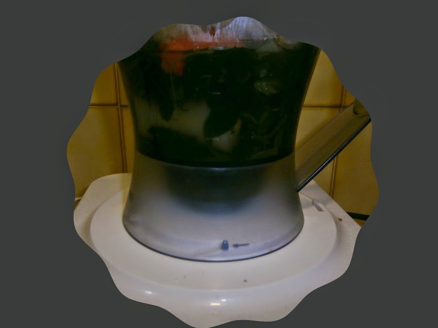 preparación de crema de espinacas