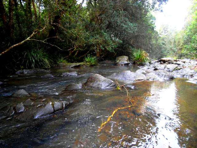 world best geography photos: Caparra Creek australia