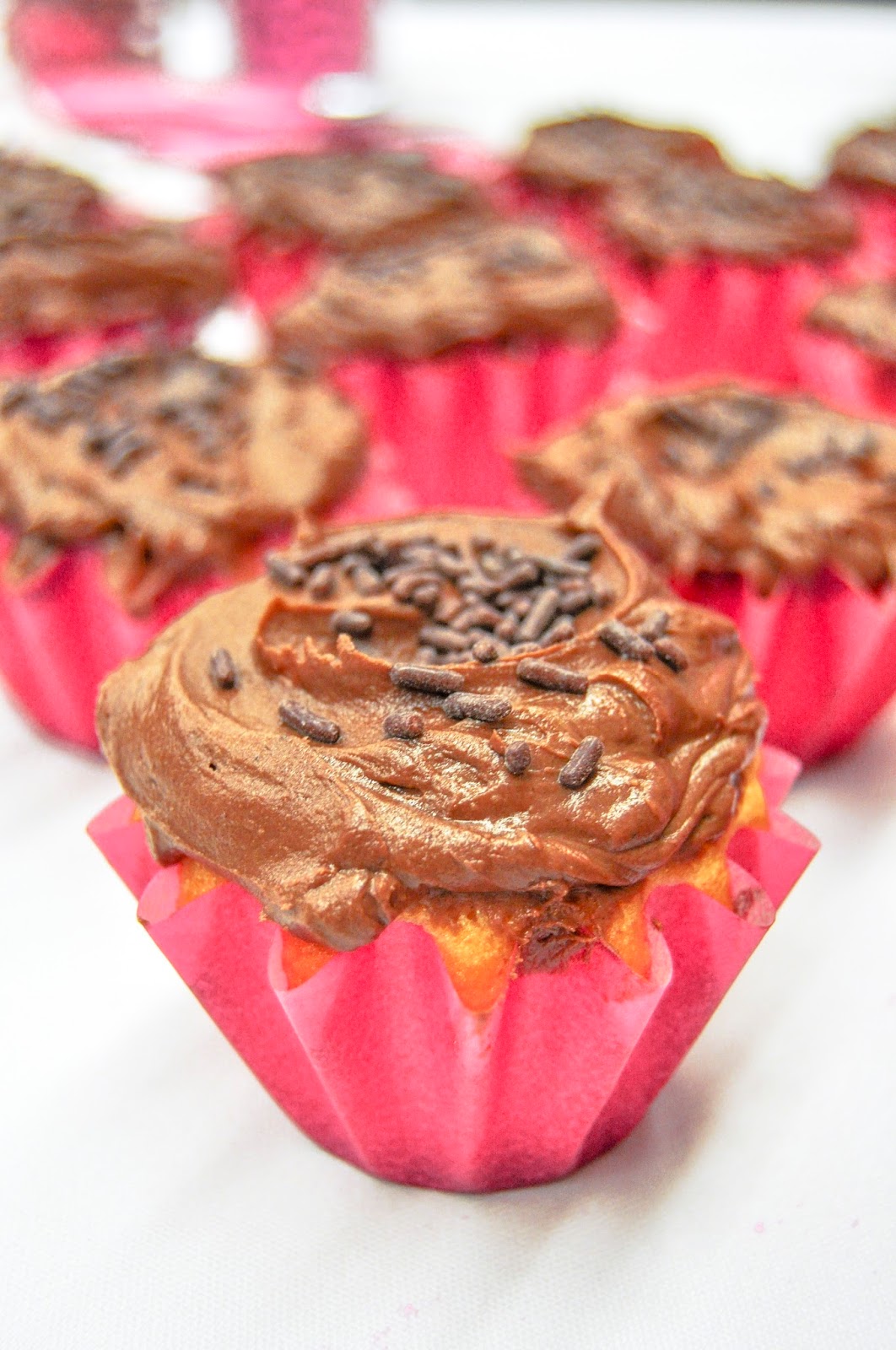 Living In Upstate Magnolia Bakery Vanilla Cupcakes and Chocolate Icing