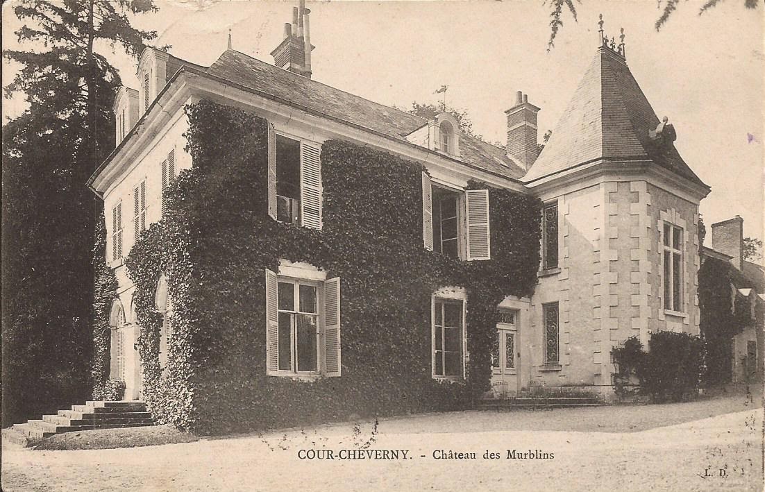 Château des Murblins - Cour-Cheverny