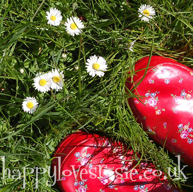 daisies and cath kidston shoes