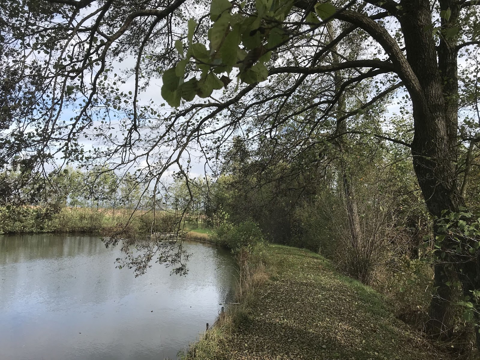 Kulturelle Identitat Vor Dem Moralischen Sperrbezirk Stutzen Der