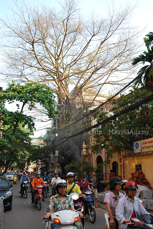 Street photos of Hanoi