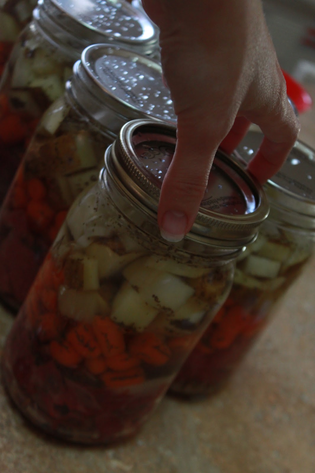 Raw Pack Beef Stew (Pressure Canning) HeartWise Essential Solutions