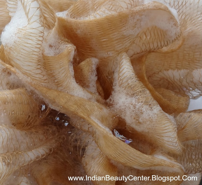 All You Need To Know About Loofahs!