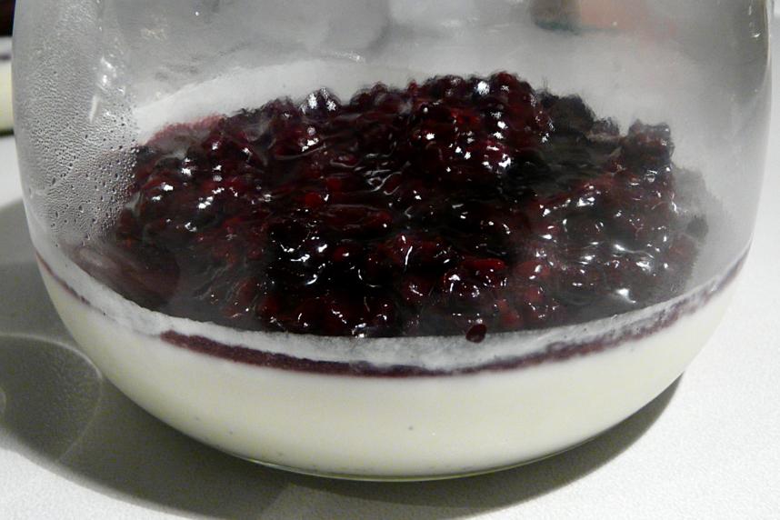 Kulinarische Welten zu Fisch- und Meeresfrucht: Panna Cotta mit ...