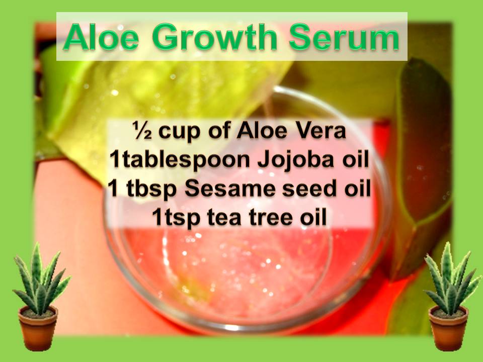 Coilyqueens 5 Ways To Add Aloe Vera To Your Hair Care Regimen