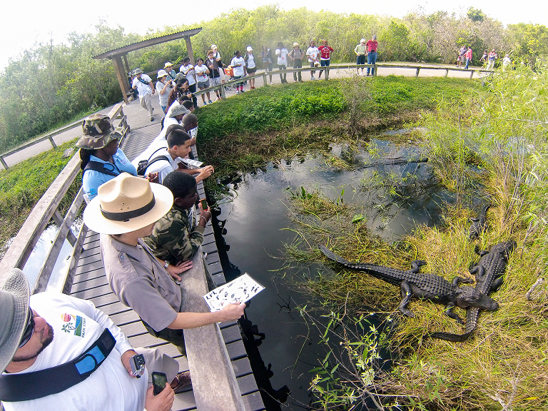 National Park Service Everglades Tour National Park Service Everglades Tour
