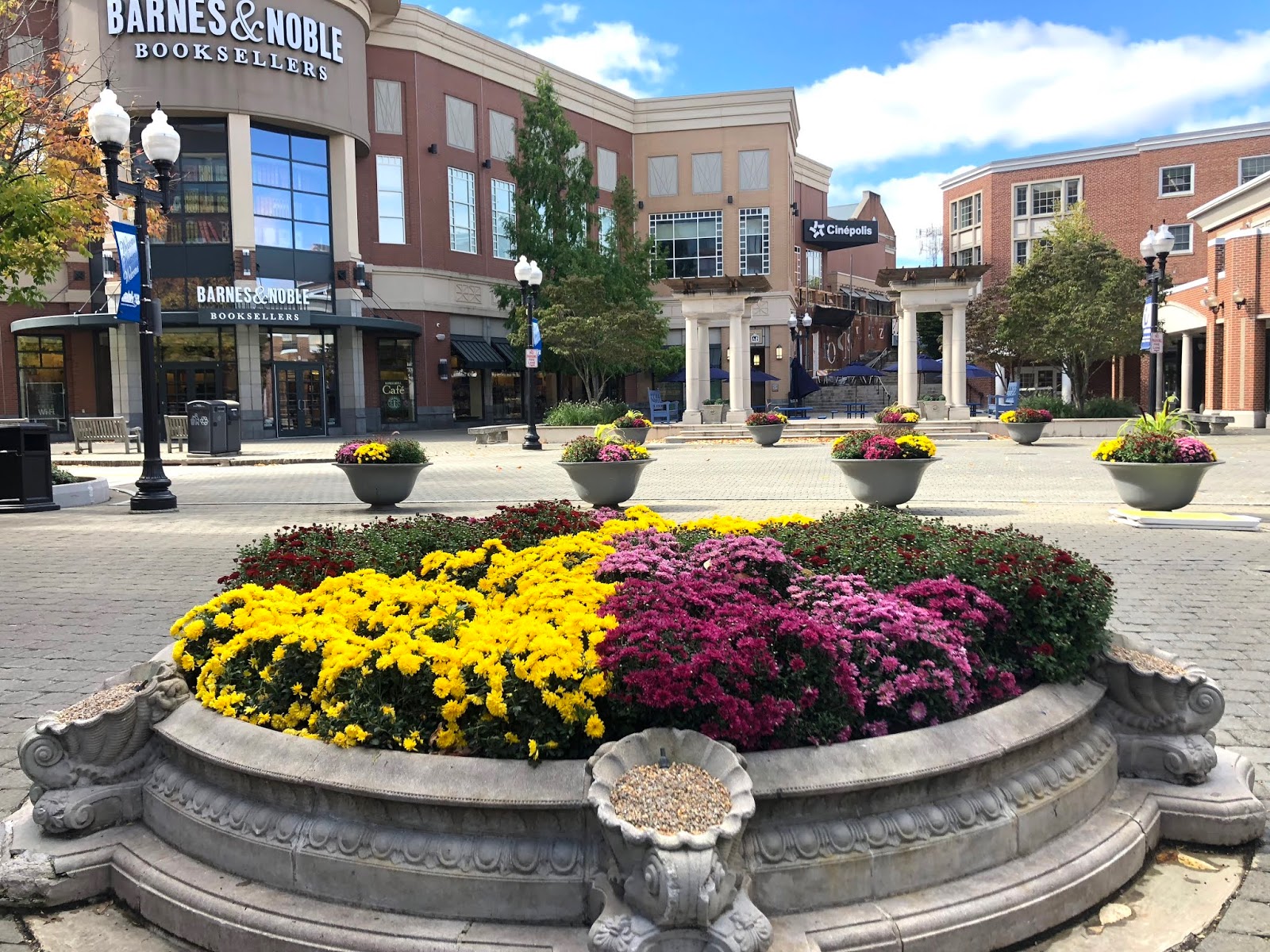 Naples And Hartford In Season Blue Back Square