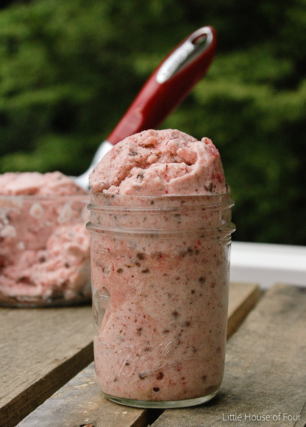 Delicious and Healthy!  3 ingredient strawberry, banana ice cream.