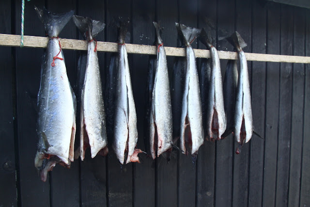 jakie są Wyspy Owcze