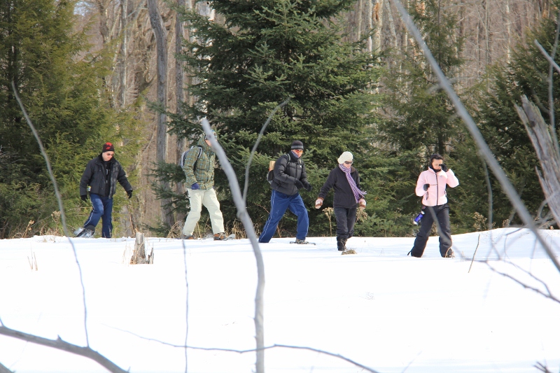 Hiking Trails of Ottawa Snowshoeing = Hiking in Winter
