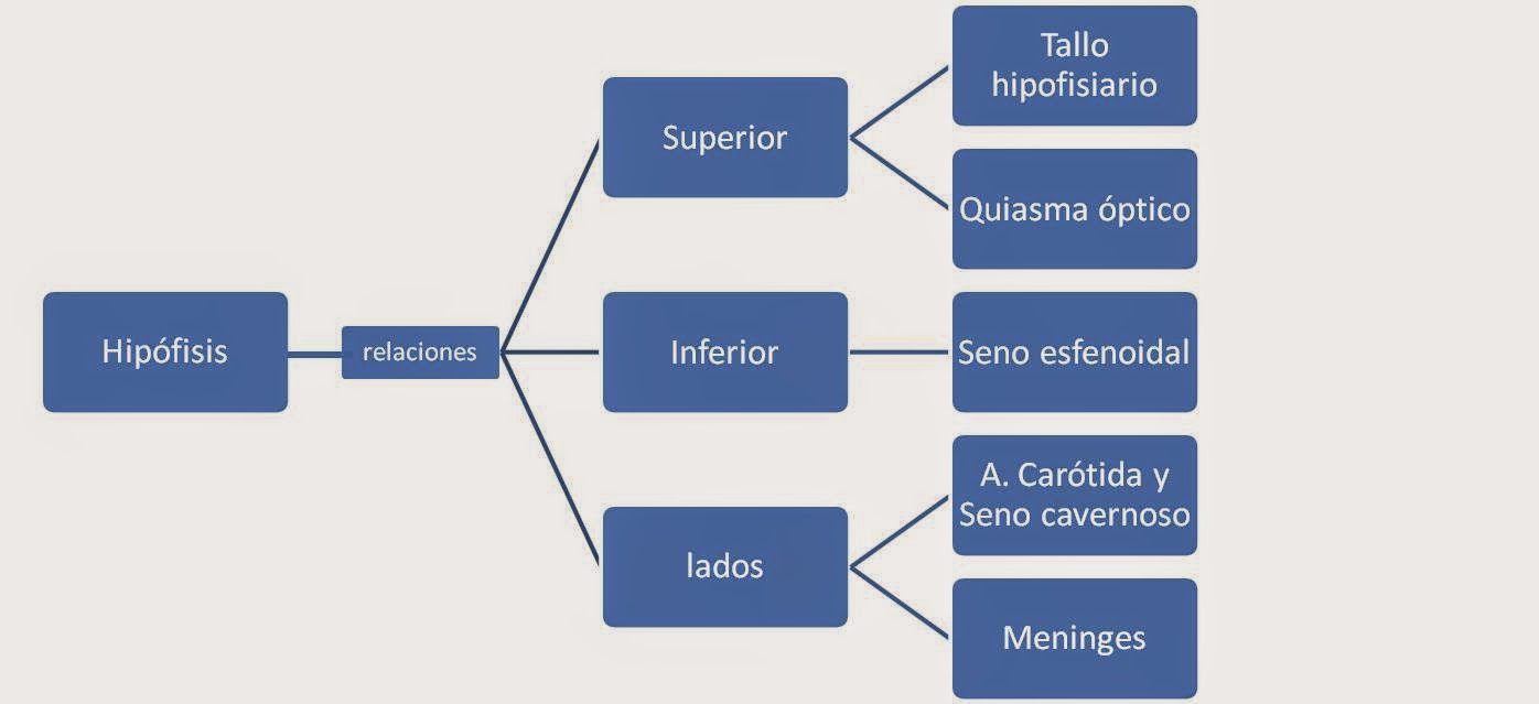 aracnoidocele selar sintomas de diabetes