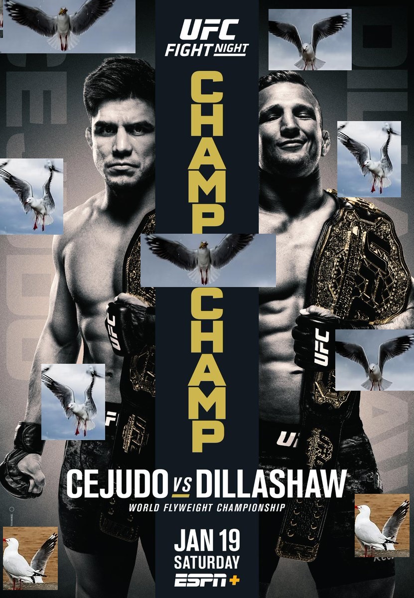 Cejudo vs dillashaw predictions this week