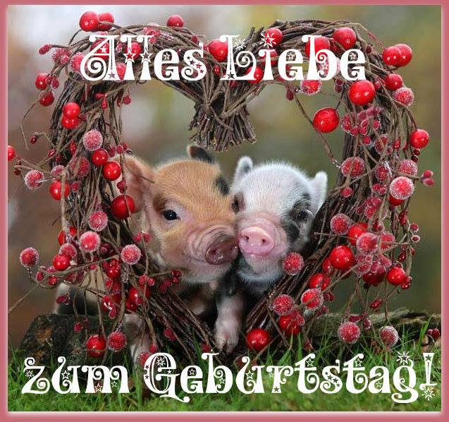 Lustige Glckwnsche Zum Geburtstag Buscar Con Google Schne