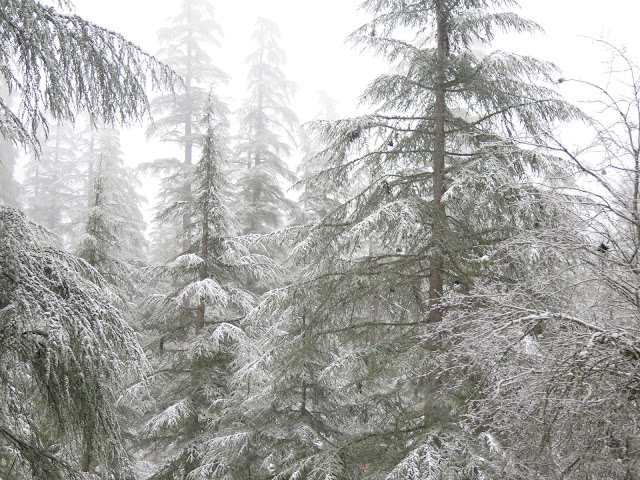 Nevada en Oum Er-Rbia