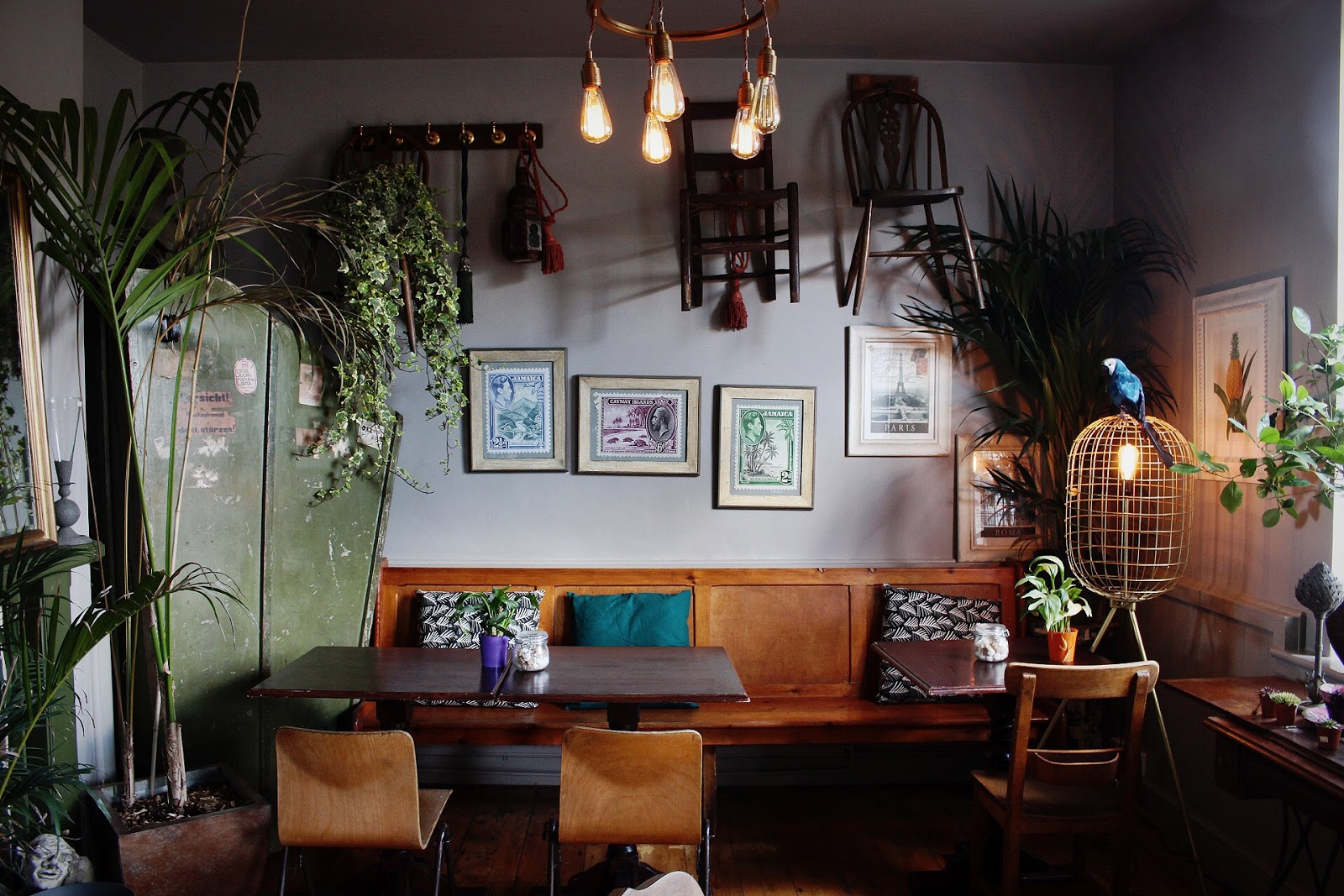 The Sondes Tea House & General Stores Selling Kent The Cafe Cat