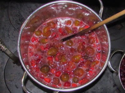 Visit My Garden The Orchard