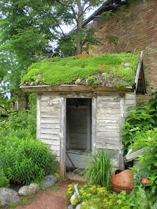 Roof Top Garden