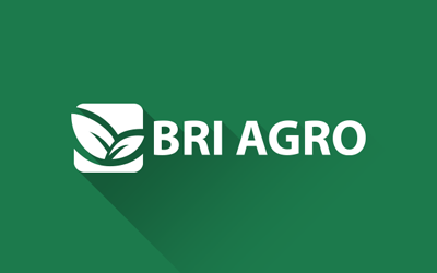 BRI Agro Bank Logo