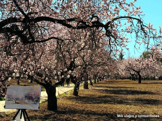 Floración de los almendros. Parque Quinta de los Molinos. Madrid