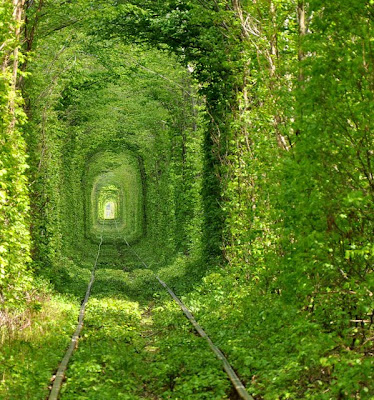 Túnel de árboles en Ucrania - Tree Tunnel Rivne Ukraine