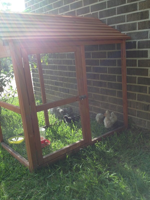 The Colquett 5: Chicken Coop, Monsters University, Kid Time, Fireworks ...