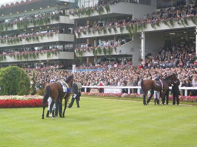 Doncaster st leger results 2020