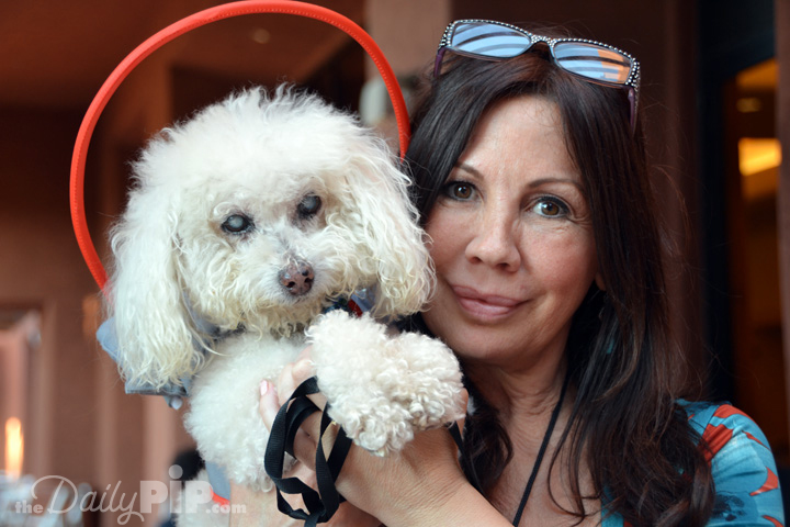 Prince and Silvie, founder of Muffin's Halo for Blind Dogs Prince and Silvie, founder of Muffin's Halo for Blind Dogs, at BlogPaws 2016