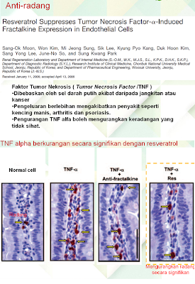 rawatan alternatif kanser melalui resveratrol