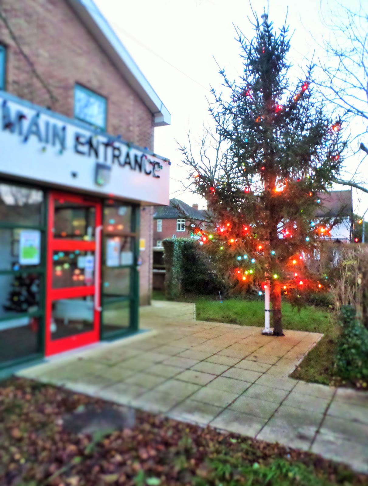 Martin Brookes Oakham Oakham's Rejected Christmas Tree Illuminated