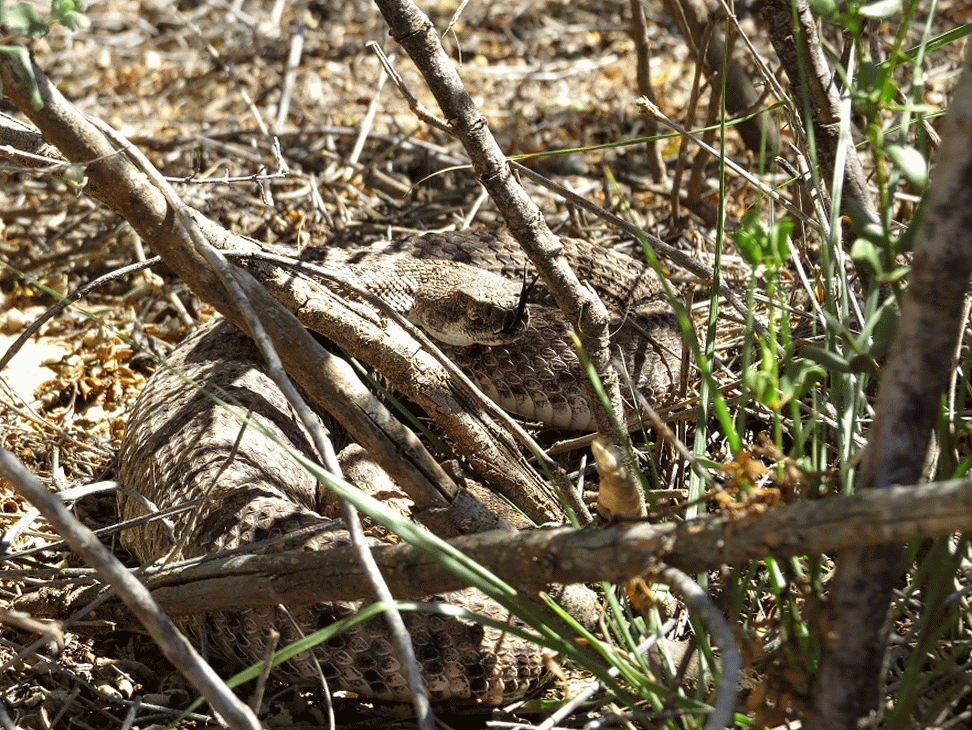 06/01/2015 07/01/2015