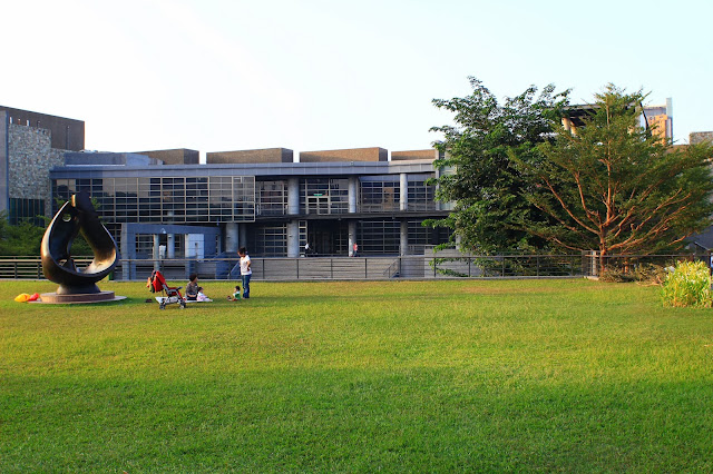 日向植物 愛の絆