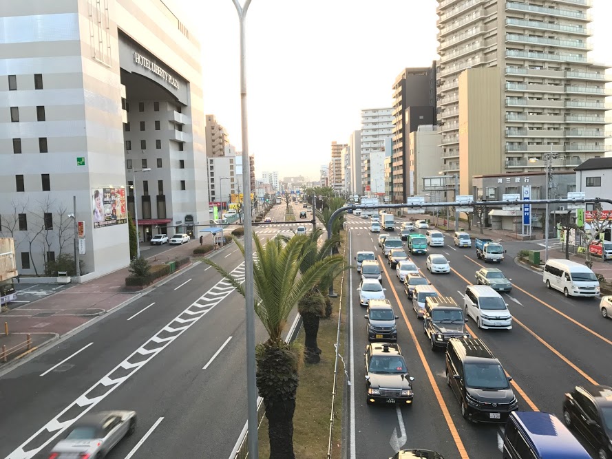 日本の道100選に選ばれたフェニックス通り、その名前の由来はヤシの木にありなかもずライフ 日本の道100選に選ばれたフェニックス通り、その名前の由来はヤシの木にありなかもずライフ