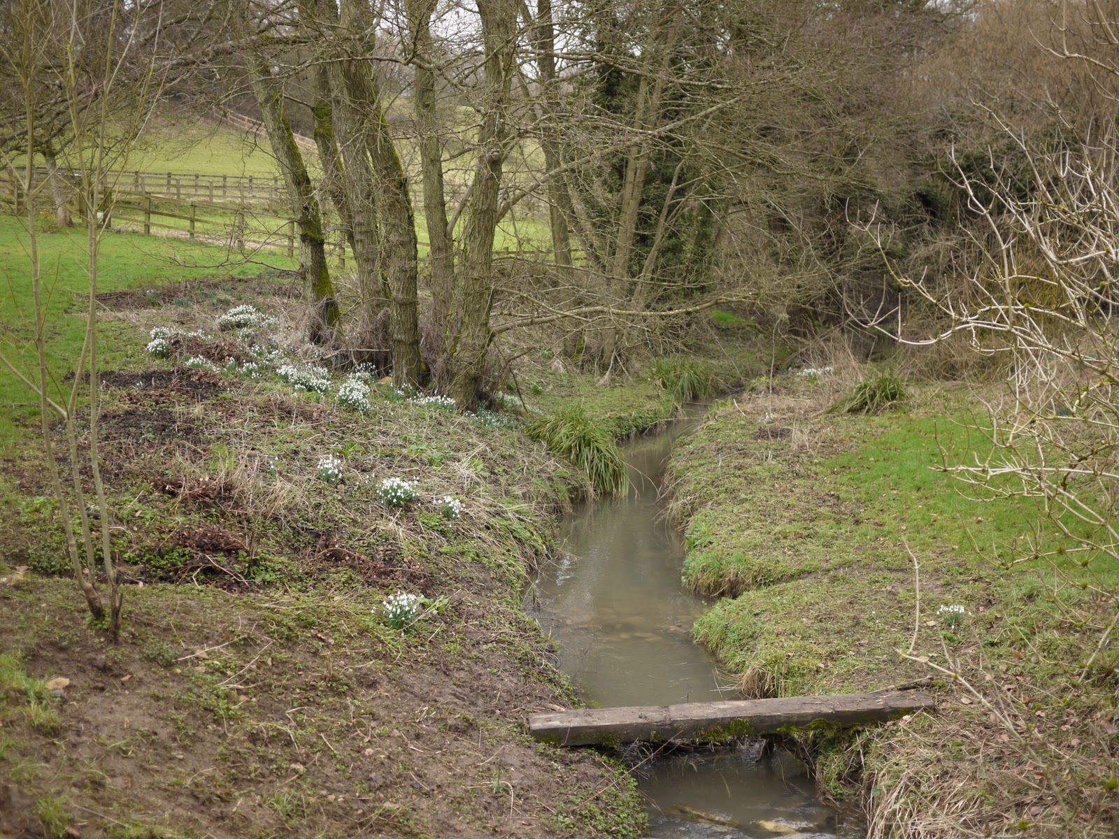 Walking in the country Painswick to Randwick (Cotswold Way 8)
