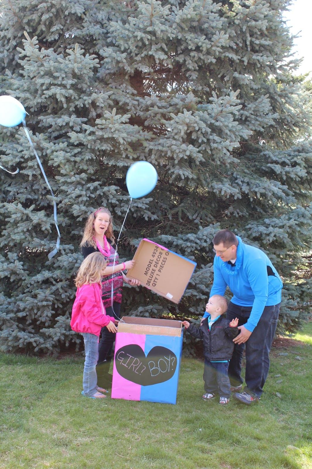 Java MaMa is the Boz of this House: Gender Reveal