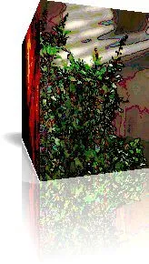 Tulsi and Thorn Apple Plants in 3D Artistic Image