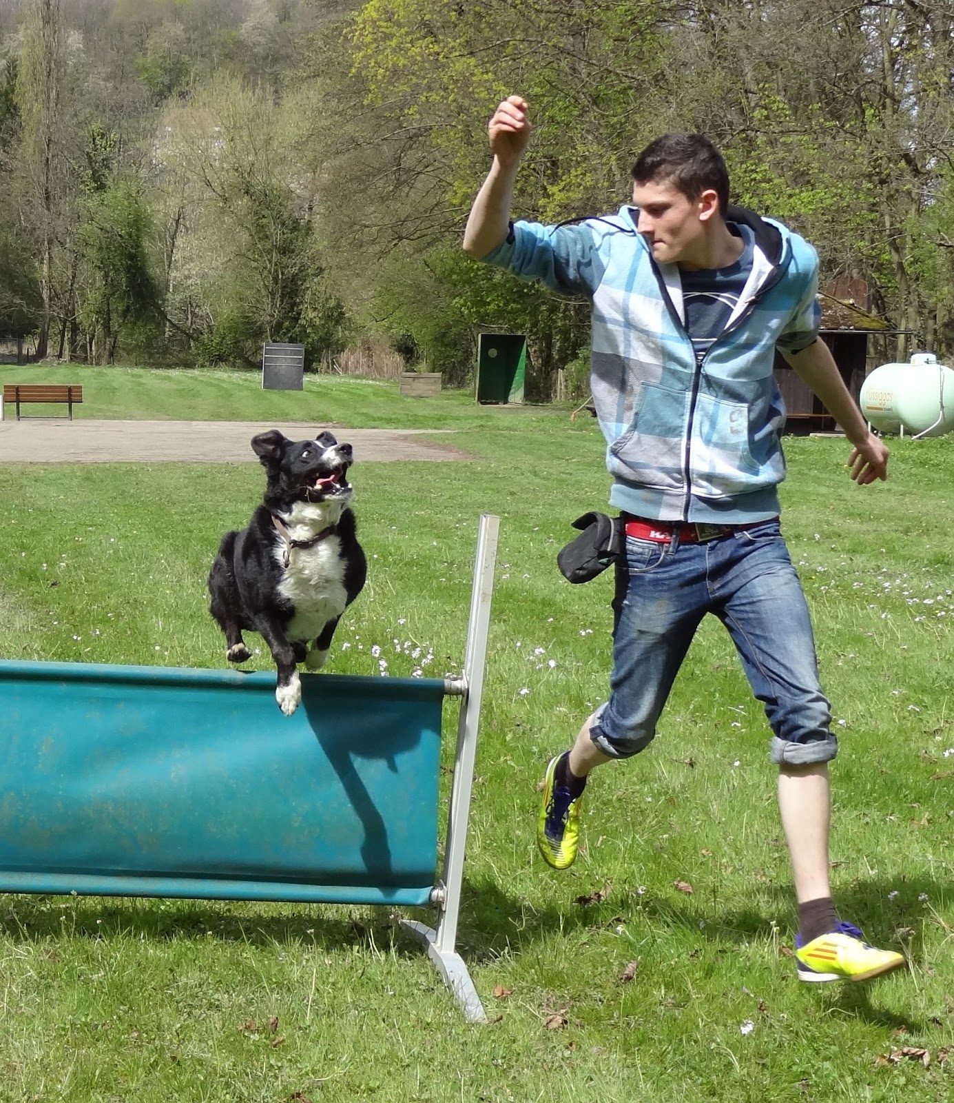 Anerkennung durch Engagement ADE Projekt 5 Trick Dog