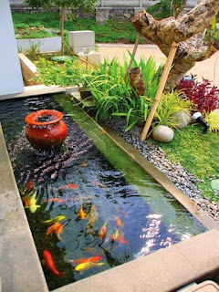 kolam ikan koi minimalis kolam ikan koi minimalis