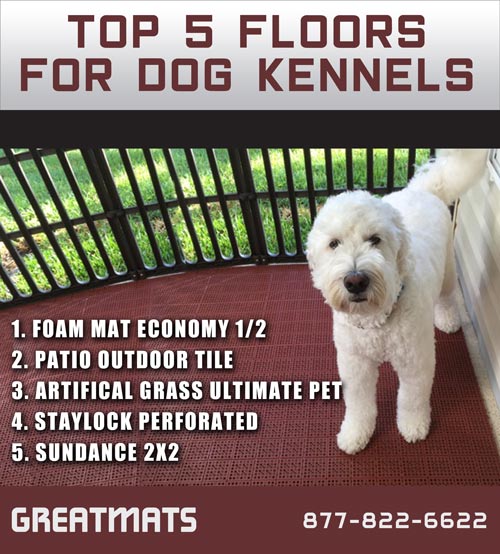 Best Dog Kennel Flooring Options, What Is The Best Flooring For Dog Kennels