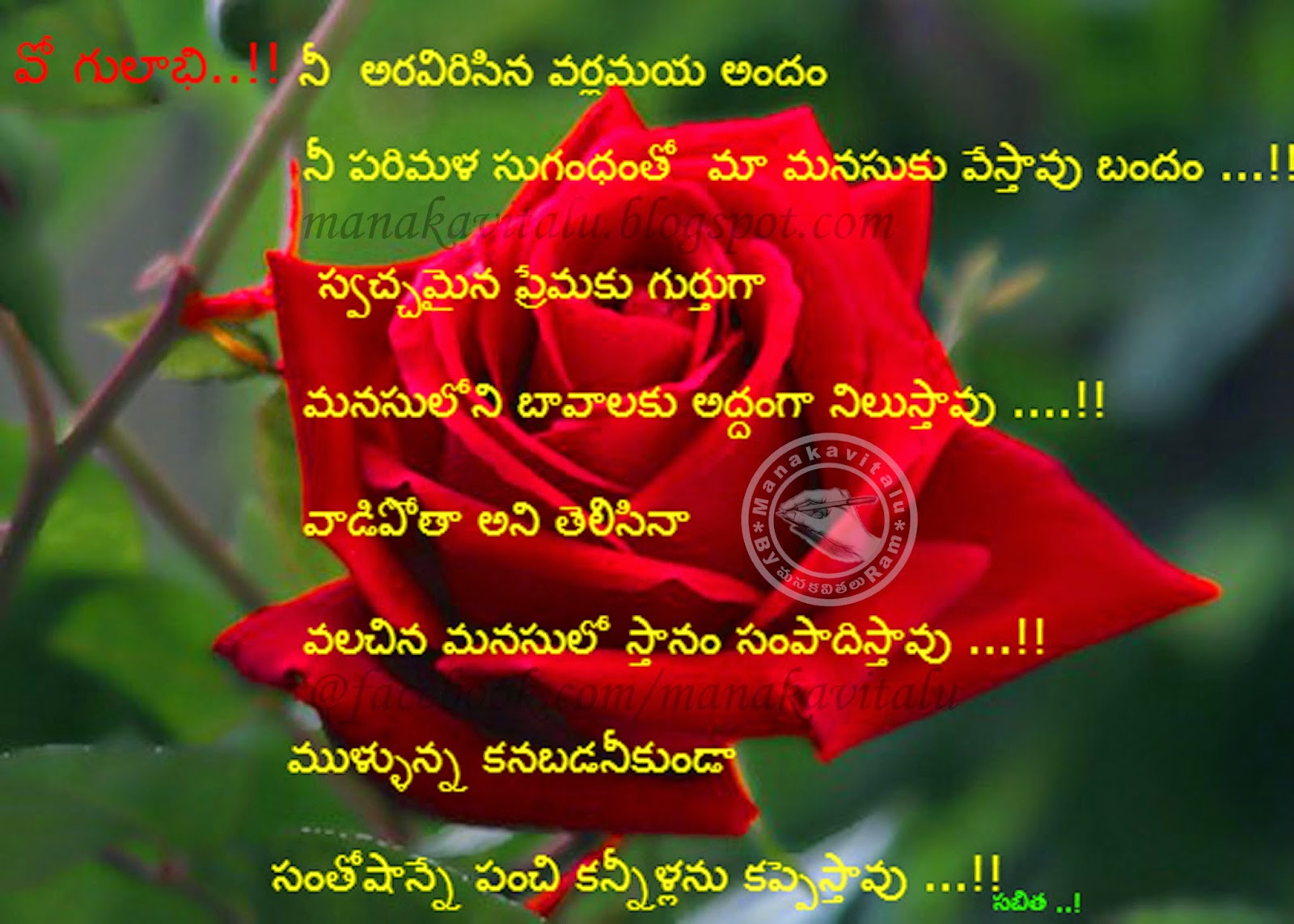 వో గులాభి..!( Telugu kavitha on roses )