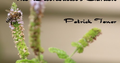 Practical Distributism: The Distributist's Garden