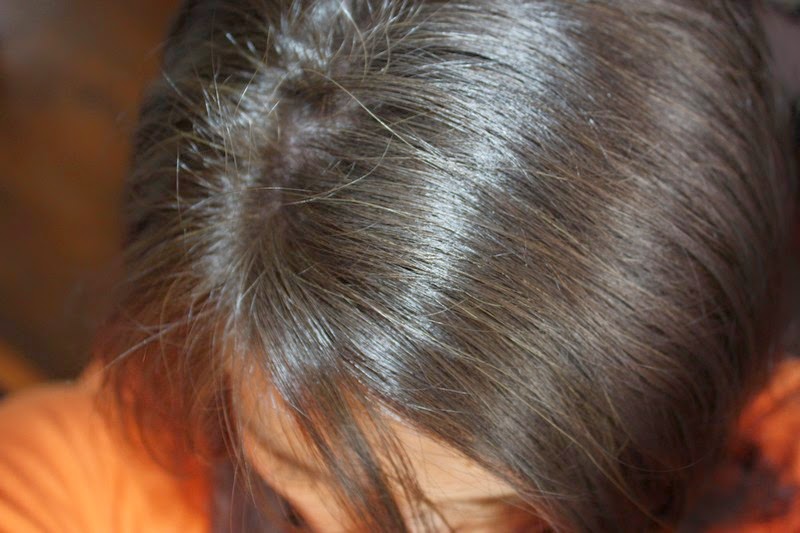 La vie simple Journal d'une Touffe 1 Introduction, coloration végétale