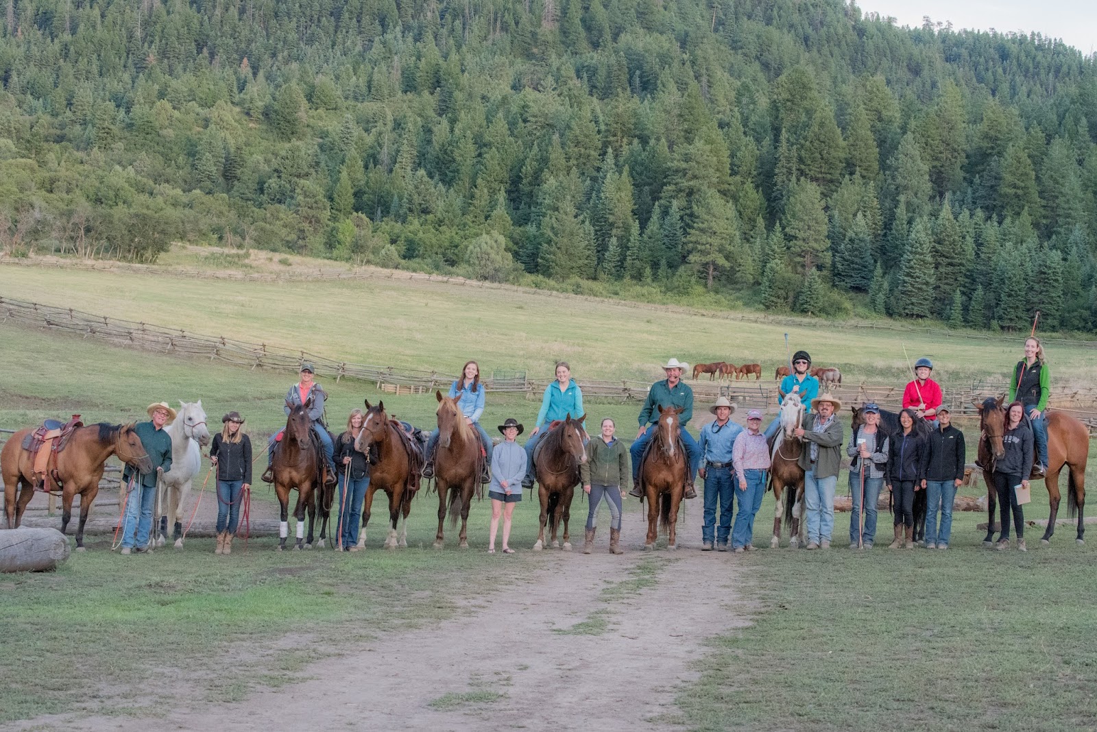 Samantha Thorning Horsemanship: Who I Lost Because of Parelli